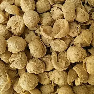 TAHU WALIK 500G
