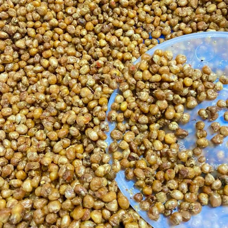 1Kg Ngô Cay sấy giòn hương vị tuổi thơ - Bắp nếp tẩm vị thơm ngon giòn rụm
