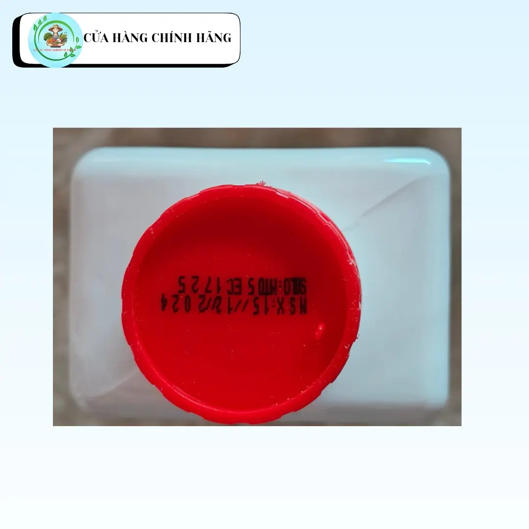 Hộp giấy đựng chai nắp đỏ rồng đỏ
