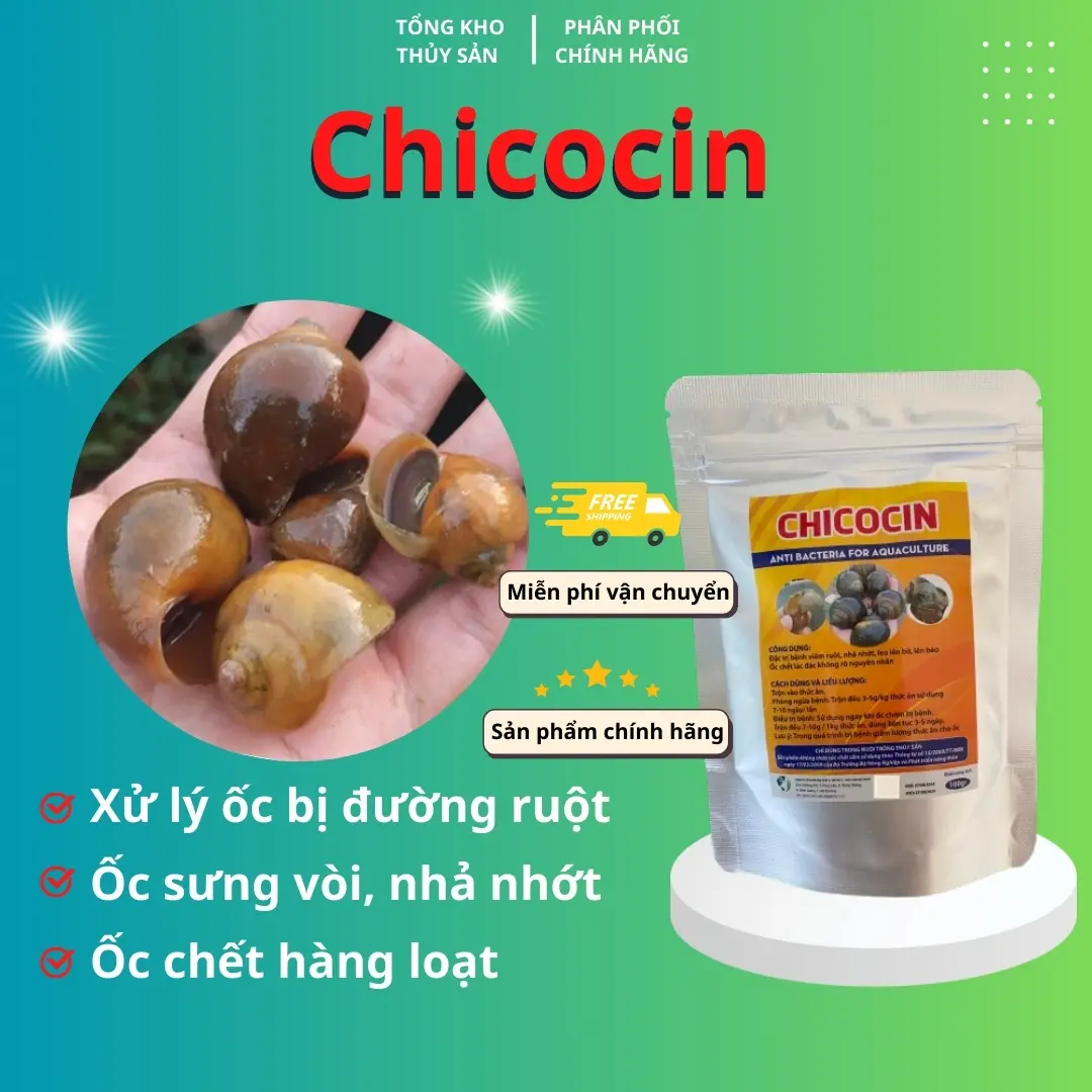 Chicocin  cho ốc nhồi, ốc bươu đen