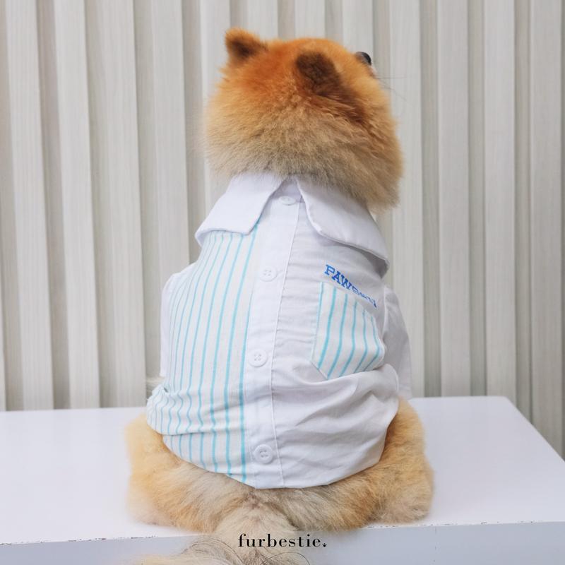 Furbestie by Pomapoo - Kostum Kucing dan Kostum Anjing Pawson 5