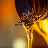 Gambar Evalube Scootic HX Oli Mesin Motor Matic Synthetic Oil 4 Tax Scooter 800ml Universal 100% ORIGINAL Motorcycle dari Ancol Motor Kota Bandung 4 Tokopedia