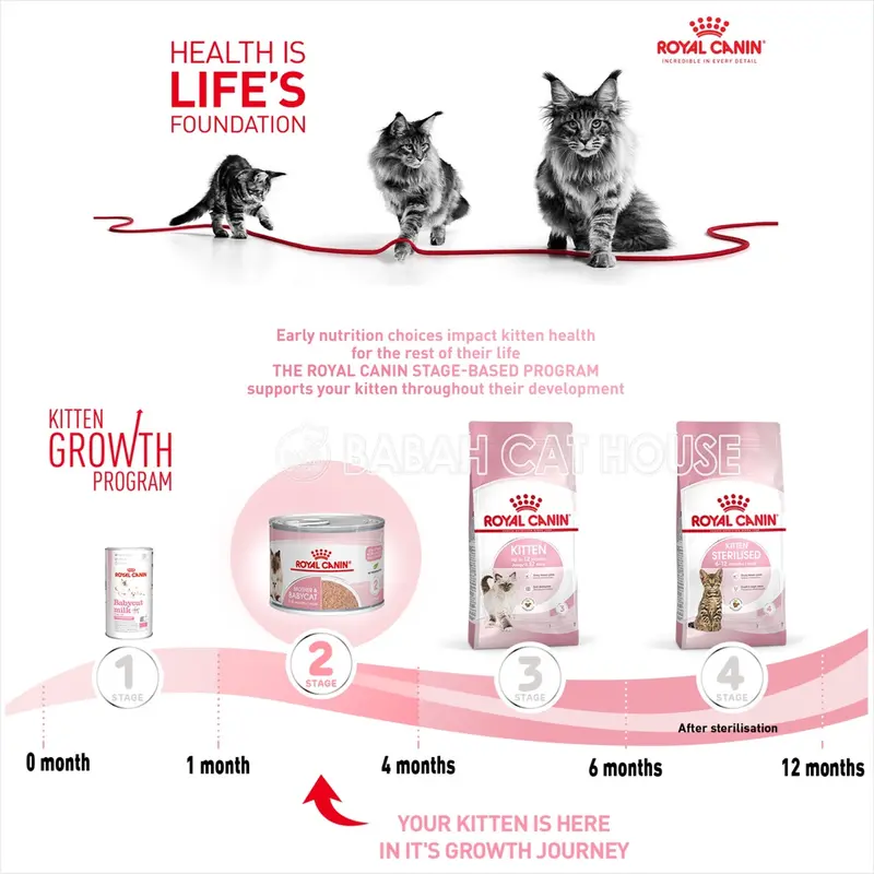 KALENG 195gr ROYAL CANIN MOTHER AND BABY CAT Wet Food Rc Kitten Pouch Makanan Kucing Basah Untuk Induk Anak Bayi Baru Lahir Anakan Menyusui Umur Usia 0 1 2 3 Bulan Can Hair & Skin Kiten Dr 3