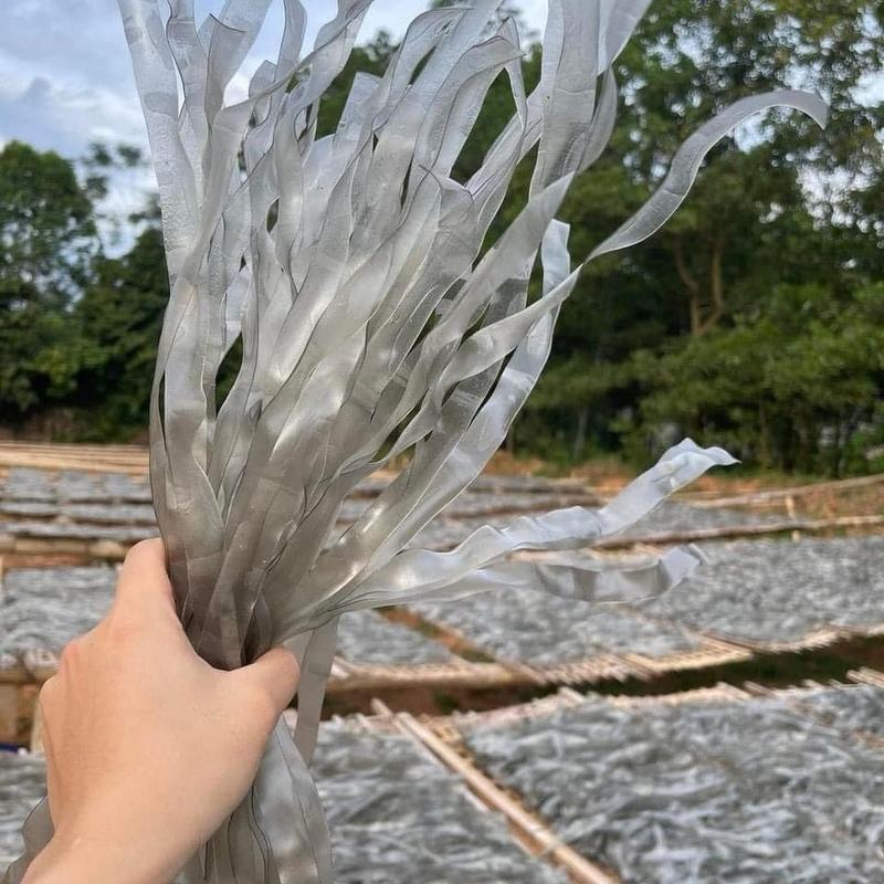 1kg miến dong thái tay sợi to Đặc Sản Tây Bắc Chua Food miến  dẹt