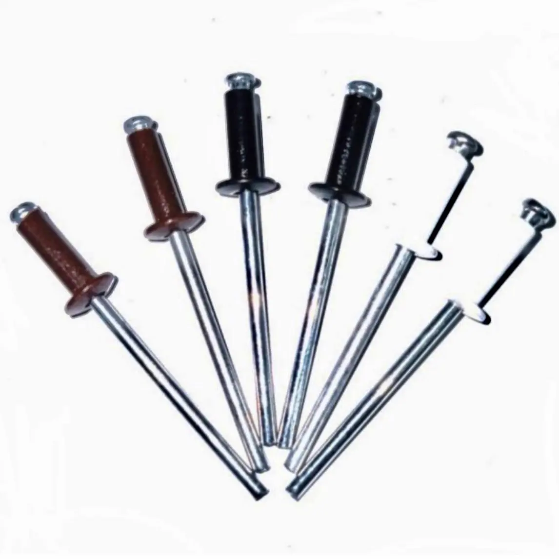 Paku Rivet warna