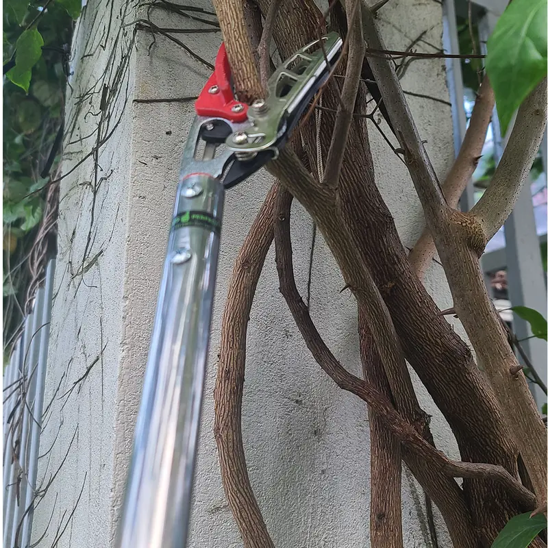 Kéo cắt cành cây trên cao dài 1M25 dành cho tỉa cây  hái trái trên sân thượng và dàn cây tầm thấp 3
