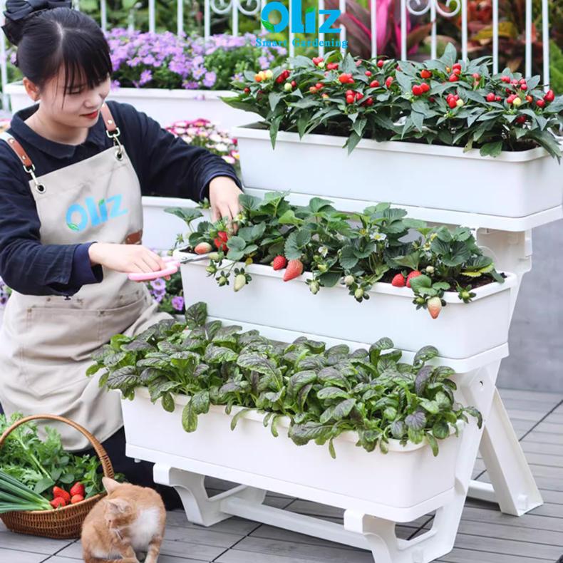  Chậu trồng cây Oliz D203. Chậu trồng rau hình chữ nhật. Kệ trồng cây ban công sân thượng 