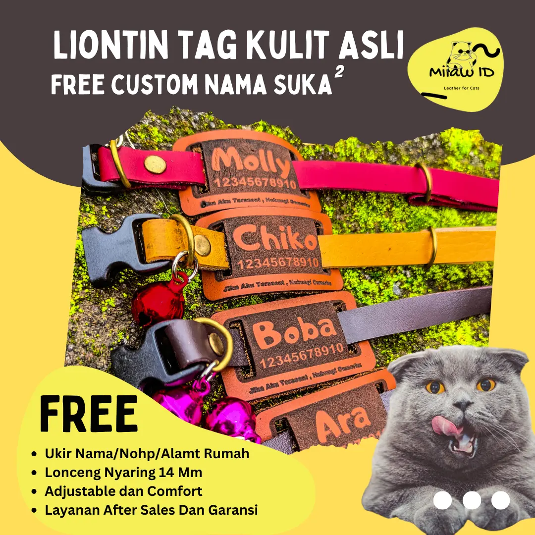 Miiaw Id Kalung Kucing Custom Nama Tag Geser Kulit Asli