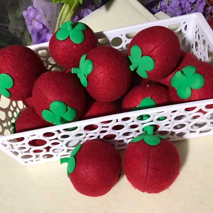 củ quả bằng nỉ nhồi hạt xốp dùng cho lớp mầm non 2