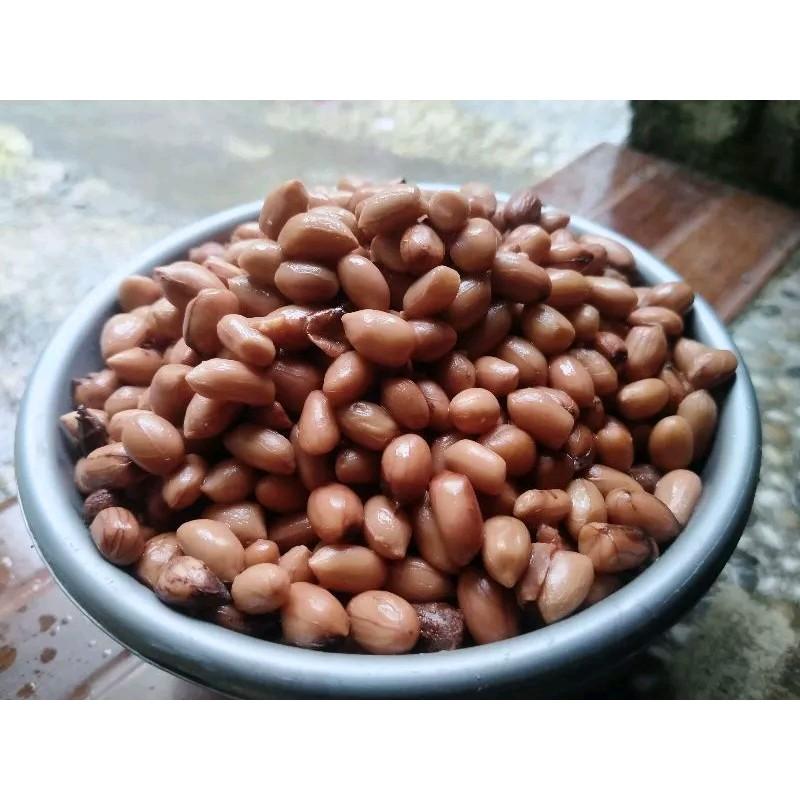 kacang presto 100 gram umpan mancing ikan bawal Galatama 4