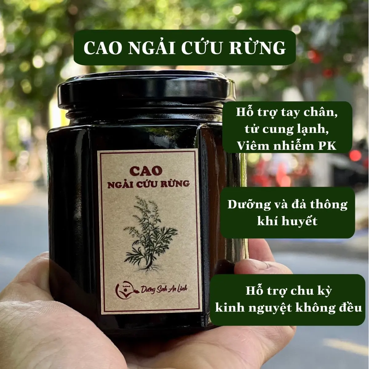 Cao Ngải Cứu Rừng Dưỡng Sinh 200gr - Qhome Dưỡng Sinh An Lành