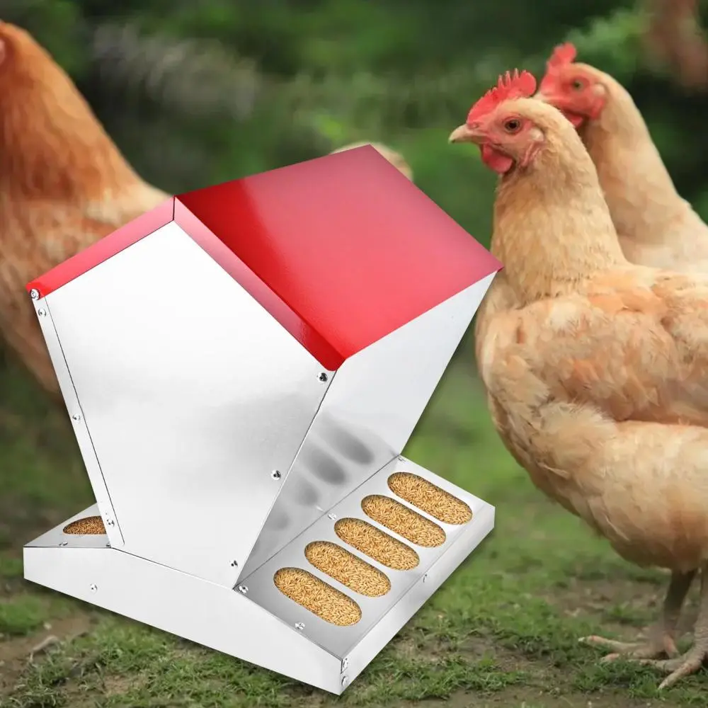 Chicken Coop Feeder Multipurpose for Chicken and Duck Chick Feeding Station