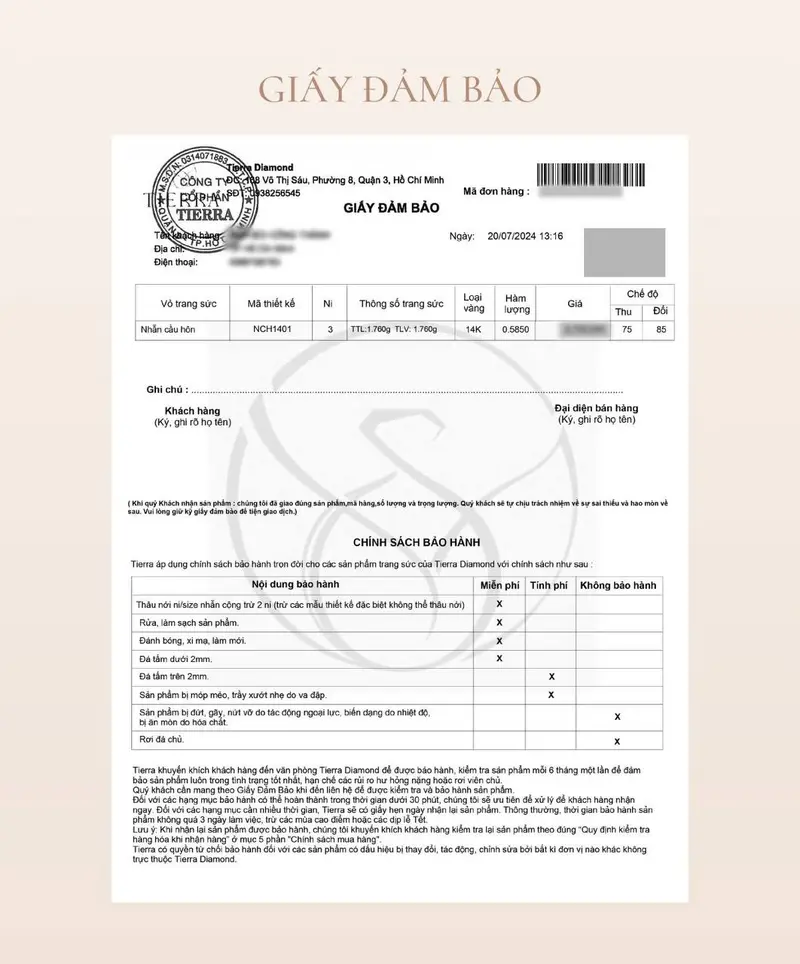 Product Introduction of Dây chuyền TIERRA mắc xích tròn vàng 10k màu vàng vàng 1