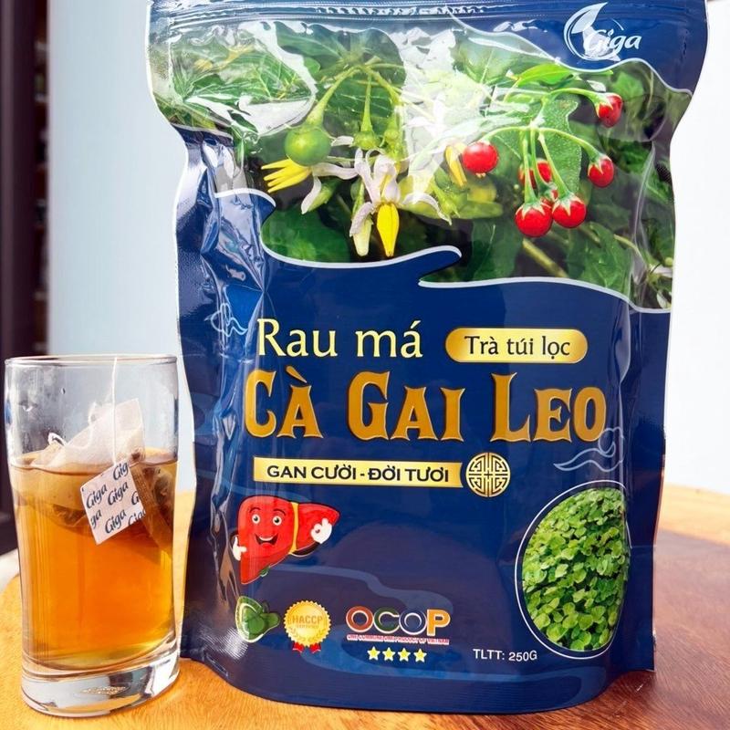 250Gram Trà Cà Gai Leo Rau Má GiGa - Thanh Nhiệt Giải Độc Gan - Sản Phẩm Chính Hãng 1