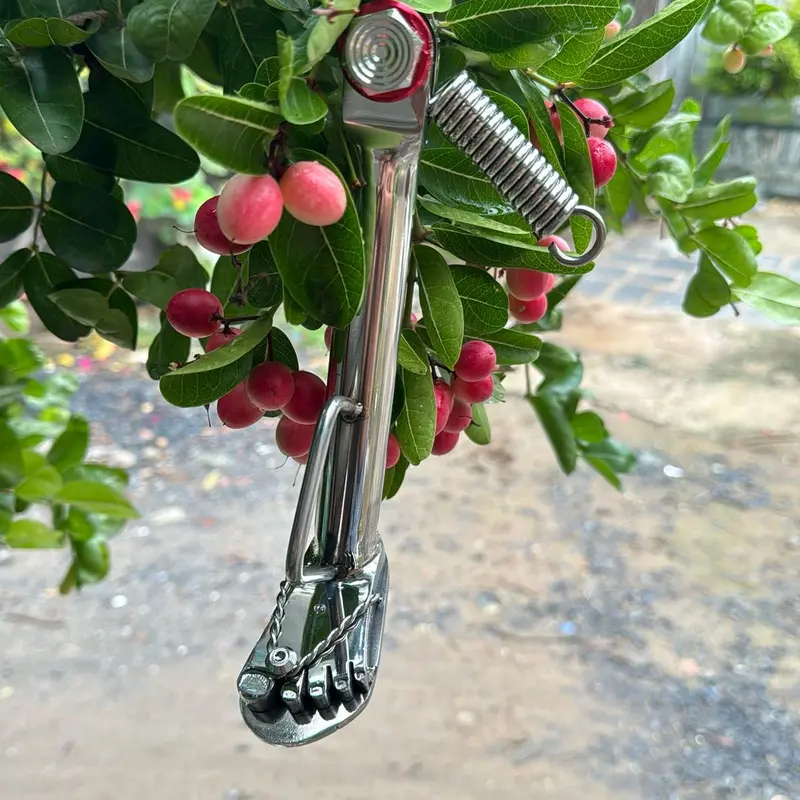 Chống bàn chân bóng gương cao cấp inox 304 - Phụ kiện phụ tùng 7