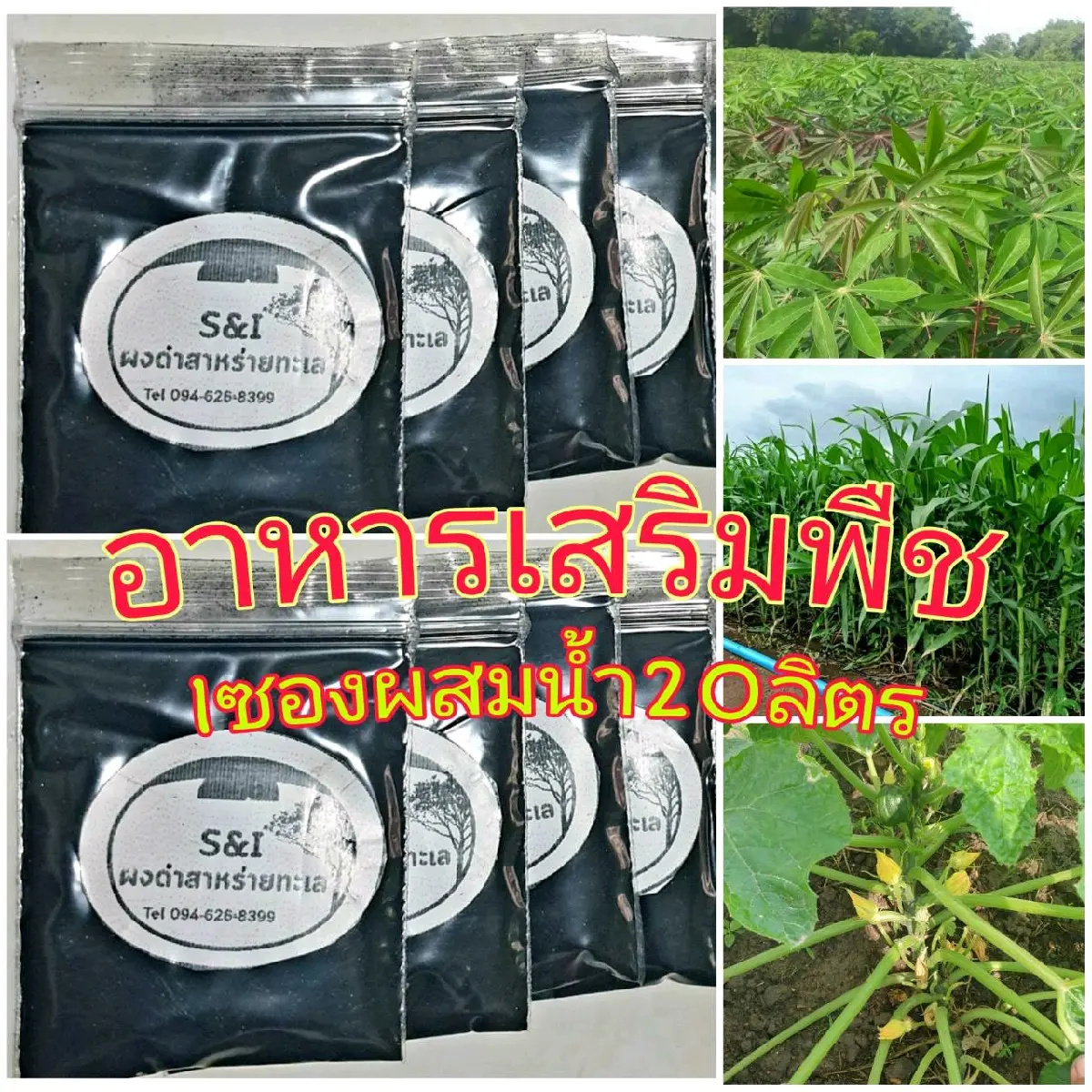 ผงดำ s&i สาหร่ายทะเล(อาหารเสริมสำหรับพืช)