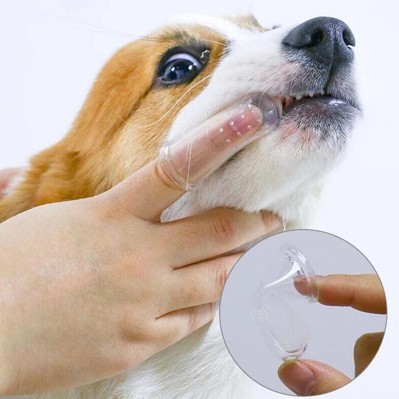 Product Introduction of Pet Finger Toothbrush Silicone Toothbrush Dog Cat Finger Brush Finger Pet Supplies Toothbrush J4N5 31