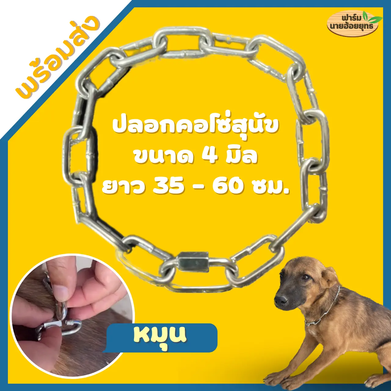 ปลอกคอหมา ปลอกคอโซ่ สุนัข ขนาด 4 มิล