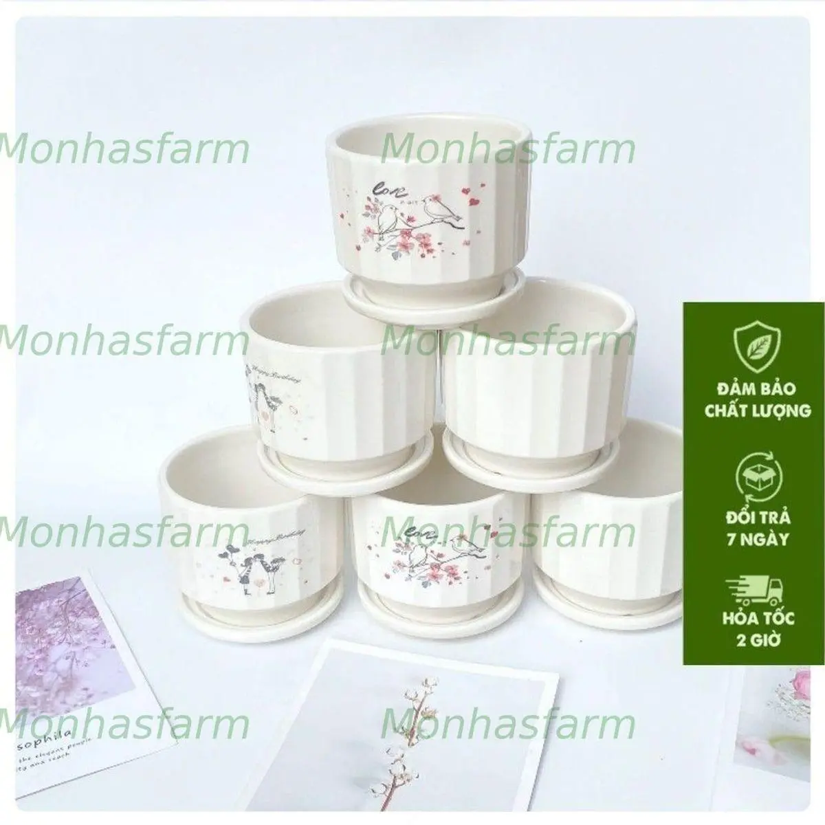 Chậu sứ có đĩa lót sẵn chiều cao 11cm, mẫu chậu đa dạng phù hợp trồng cây để bàn