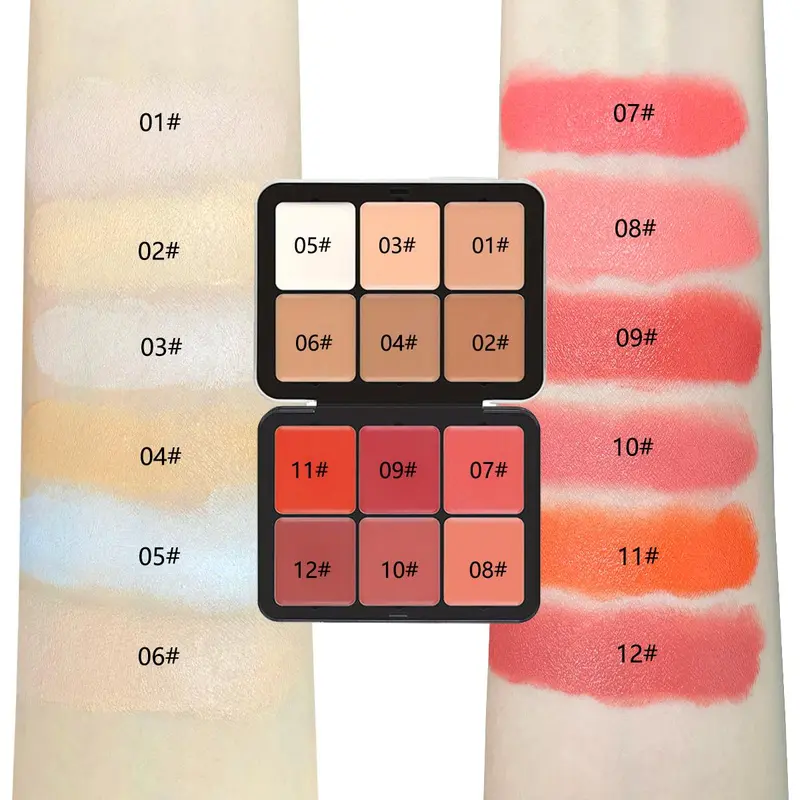 12 Color Blush Palette, 1 Box Matte & Glitter Glow Highlighter Palette, Long Lasting Blush Concealer Palette, Natural Look Blush for Daily Makeup, Compact Cosmetics 4