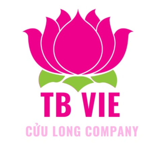 Khẩu Trang Cửu Long Vie Mask