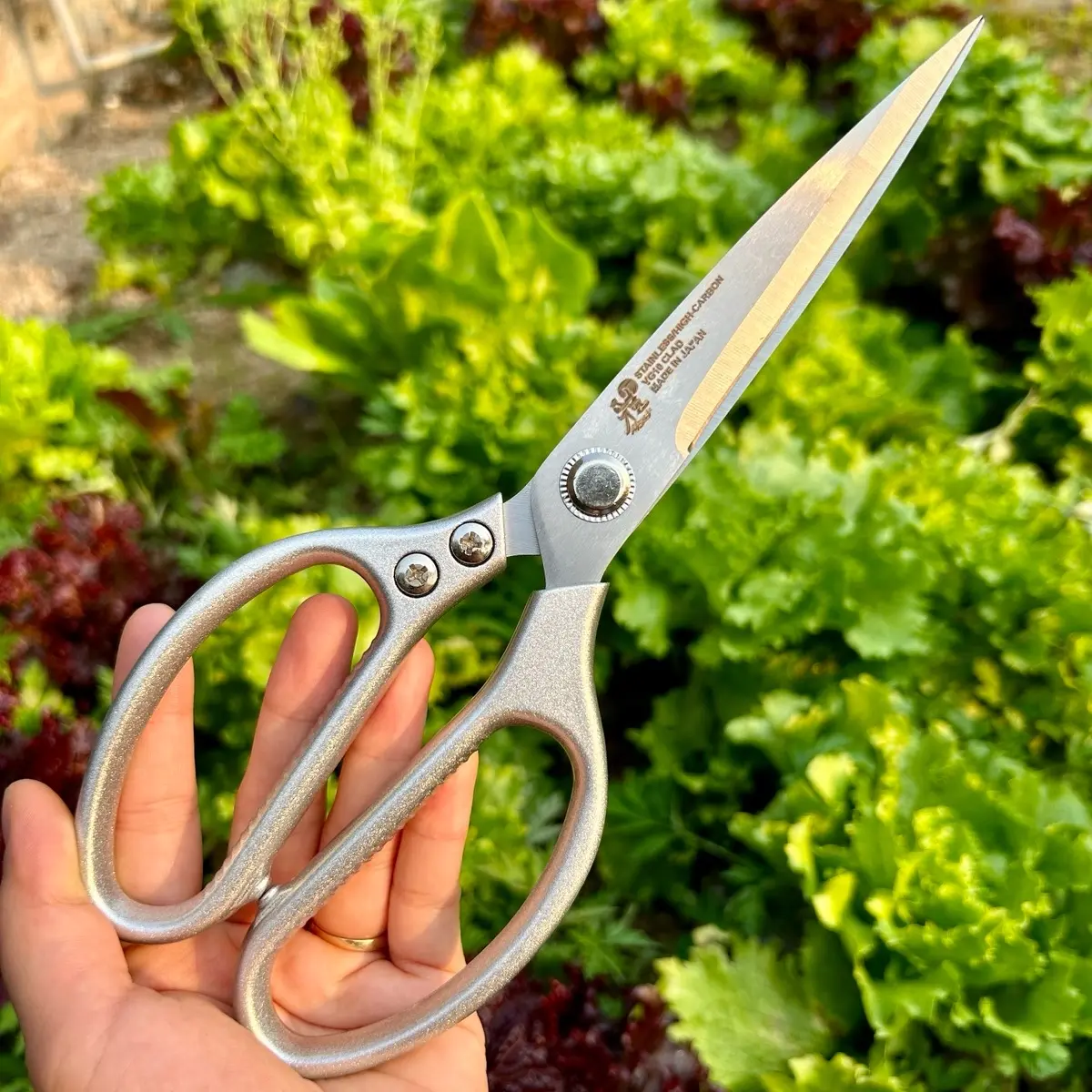 Kéo cắt thực phẩm Japan thép SK5 dài 25cm