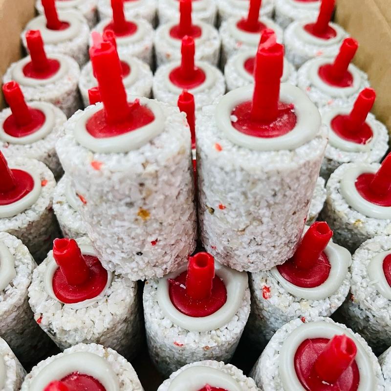 COMBO 50 VIÊN ĐÁ THỔI OXI CHO BỂ CÁ HỒ HẢI SẢN Cục sủi mè lớn tạo bọt khí lớn cho các bể cá cảnh