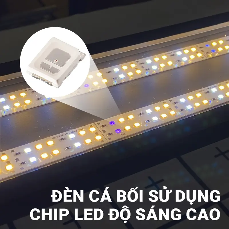 Đèn Thanh Cá Bối Zako Siêu Sáng-1.5M 1