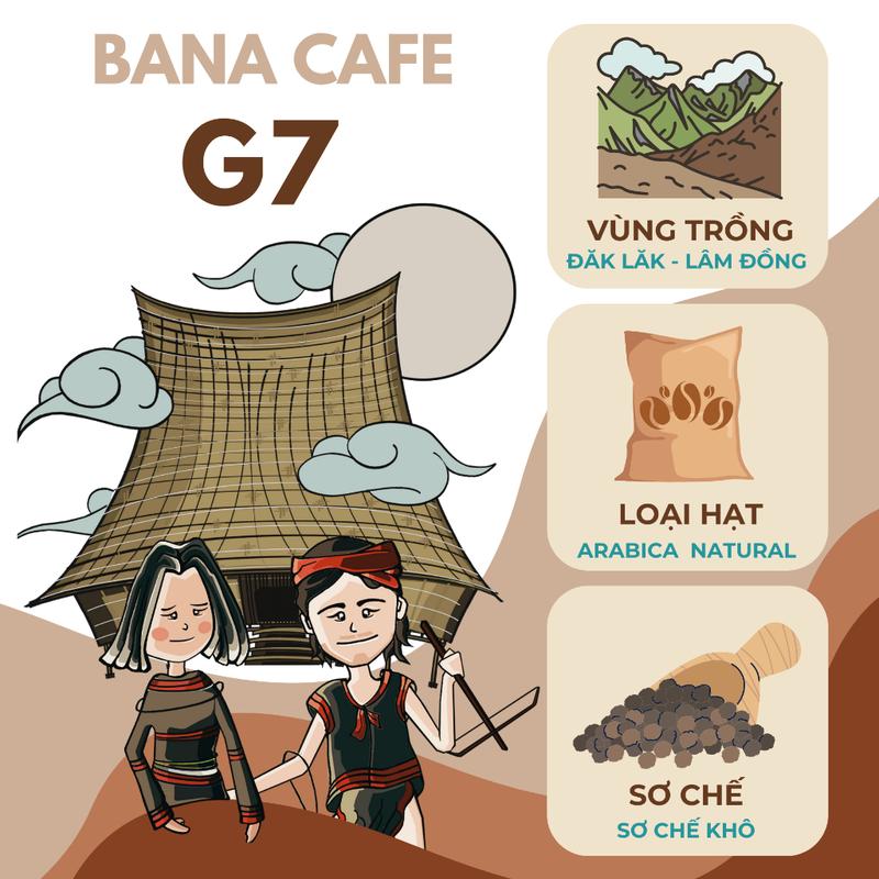 Cà phê Bana Cofe G7 | Cafe rang mộc nguyên chất 100% Arabica Natural (Pha phin/ Pha máy/ Nguyên hạt) Coffee 4