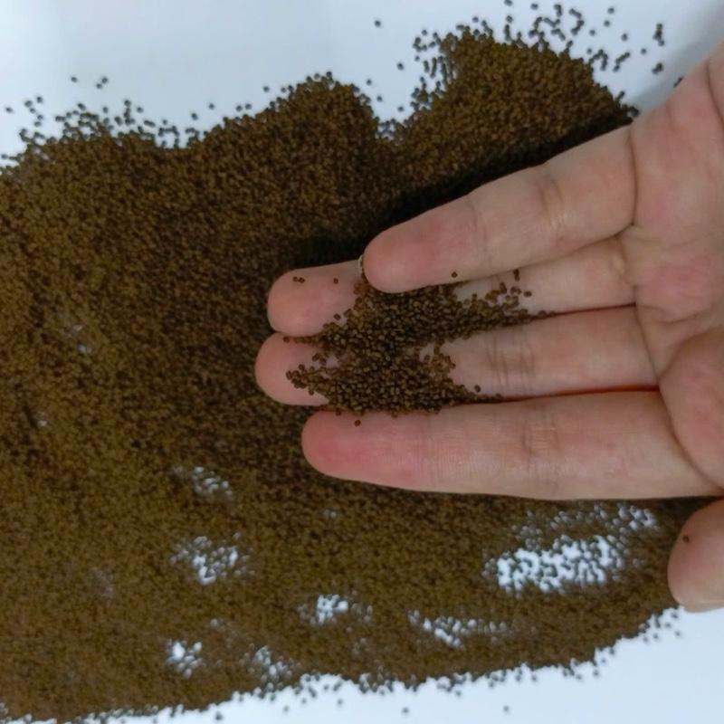 Cám Cá Vàng Cá Chép + Đạm Cao + Dễ Tiêu Hóa+ Mau Lớn + Màu Sắc Đẹp 4