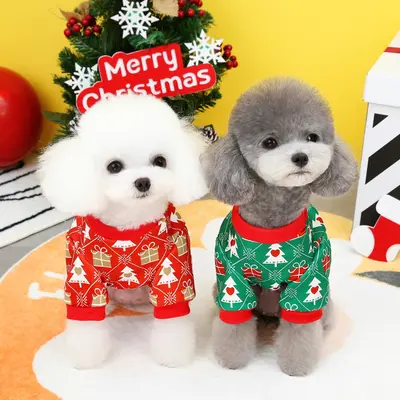 Petco dog christmas outfits hotsell