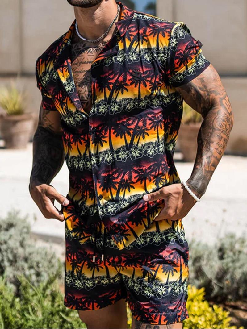 Product Introduction of Men's Colorblock Print Short Sleeve Tee & Shorts Two-Piece Set, Regular Fit Casual Round Neck T-shirt & Shorts, Men's Summer Clothes for Outdoor Wear 1