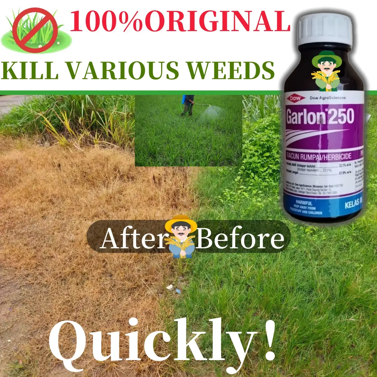 500ML 100% Original DOW Garlon 250 / KADET Herbicide  Effectively kills  trees and saplings.4L Dow Garlon,