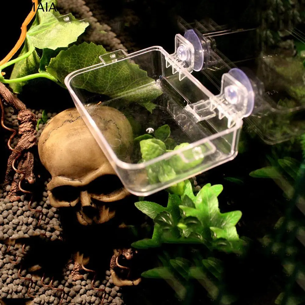 GEMMAIA Bird Feeding Basin Anti-escape Suction Cup Reptile Feeder Dish Plastic with Suction Cup Reptile Anti Escape Feeder Turtles