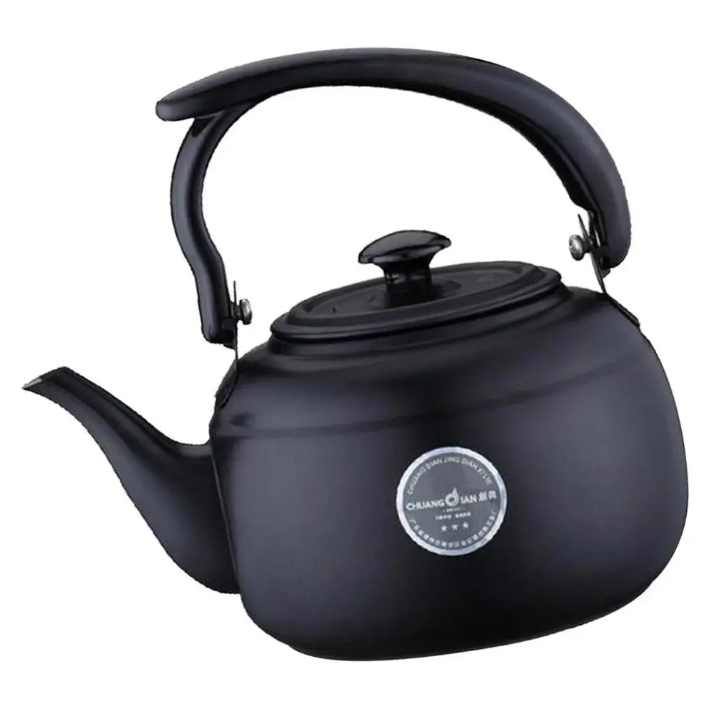 Stainless Steel Teapot Tea Water Pot Kettle Home Kitchen Picnic Metal 1000ml