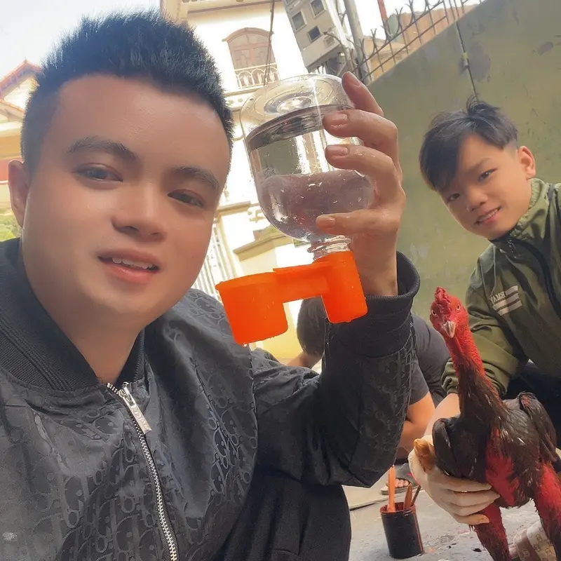 Máng uống nước tự động màu cam cho gà chọi 0