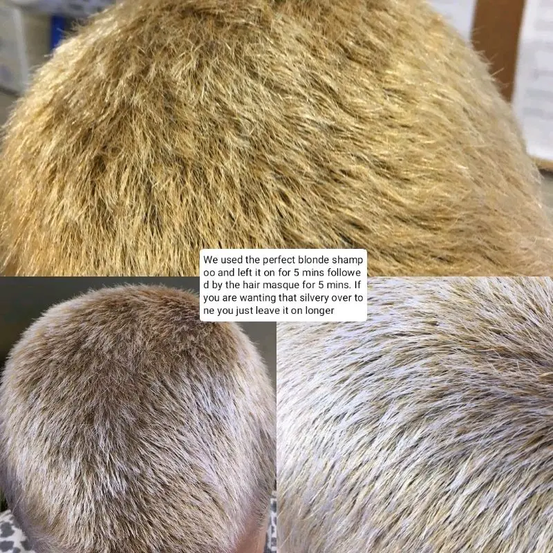 Pravana The Perfect Blonde Shampoo & Conditoner (Purple Shampoo / Silver Shampoo) Share in Jar 1