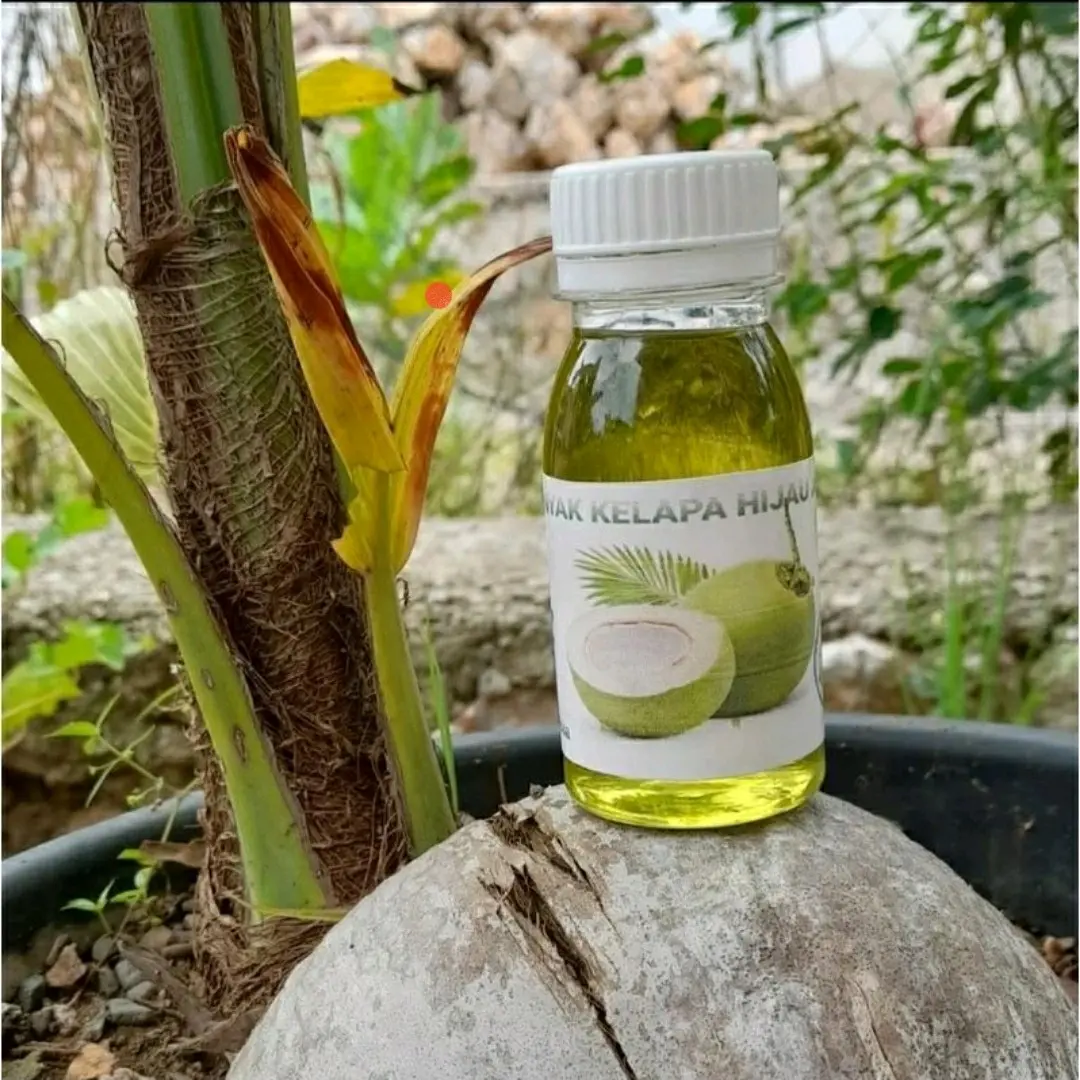 Minyak Kelapa Hijau Asli Original Minyak Pijat Tubuh
