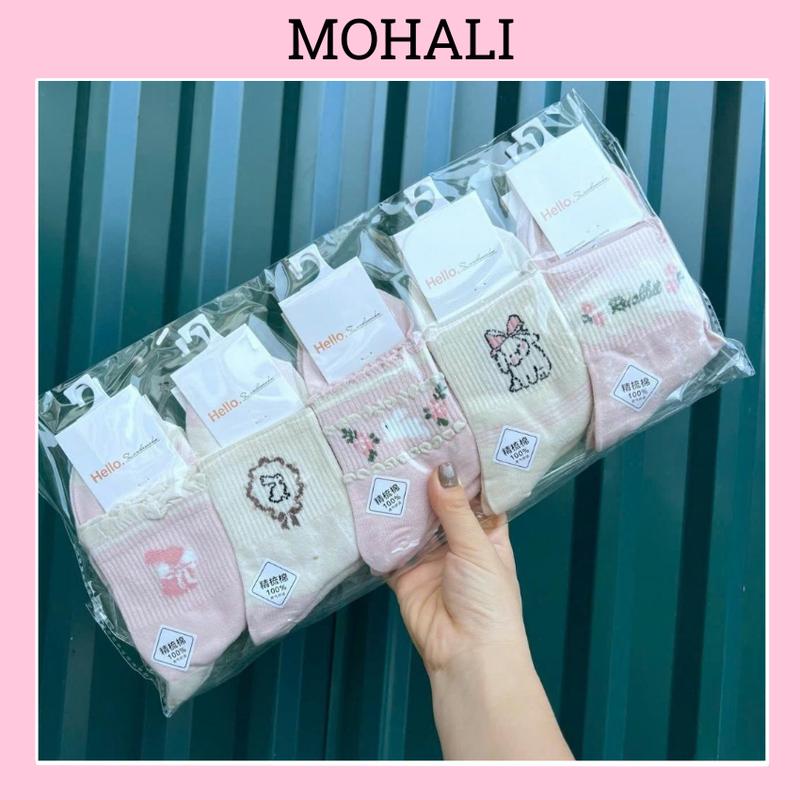 Tất Vớ Cổ Cao Set 5 Đôi Gấu Nâu Hồng Cotton Kháng Khuẩn MOHALI SVC055