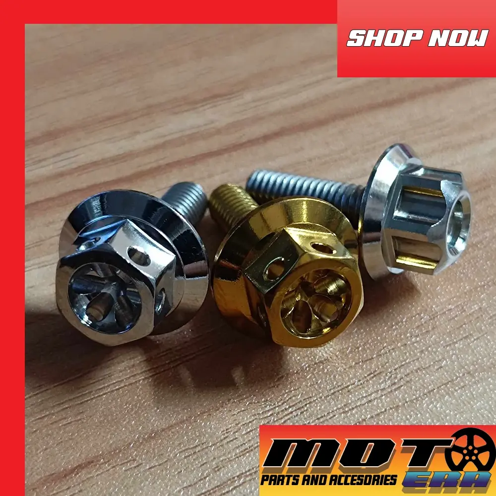 THAILAND HENG STAINLESS BIGHEAD 6X20 MM BOLTS / FOOTBOARD / PLATE NO. / HEAT GUARD / FENDER BOLT