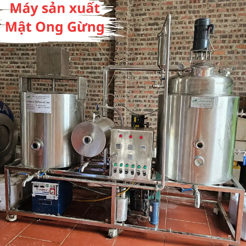Mật Ong Gừng - Nhanh Kết Tinh - Nguyên Chất - Đặc Sánh - Hũ 500ml 5