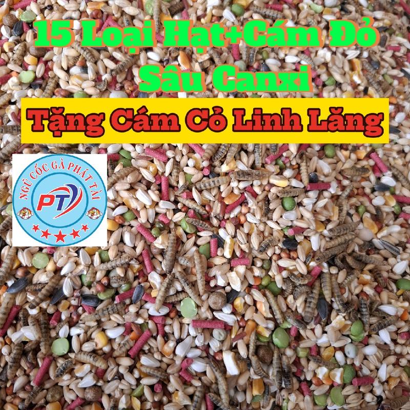  5 Kg Ngũ Cốc Gà Có Sâu Canxi Tặng Cám Cỏ Linh Lăng  