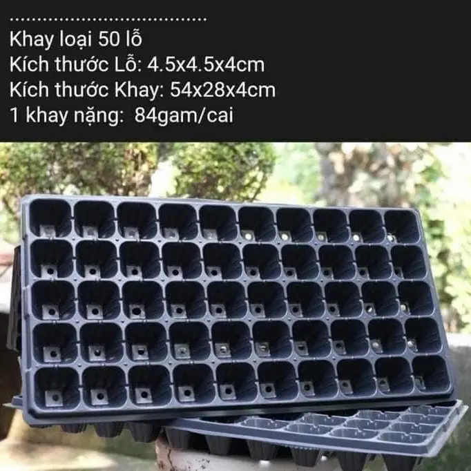 3 khay ươm hạt giống bằng nhựa dẻo