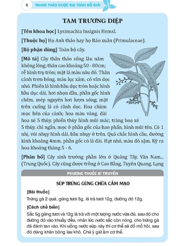 Sách - Trung thảo dược đại toàn đồ giải - Bìa mềm sách  dược 2