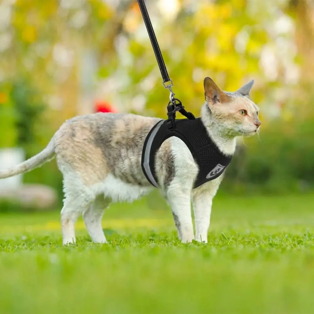 Adjustable Cat Dog Harness Easy Control Mesh With Traction Rope Pet Chest Strap Breathable Lead Leash Pet Vest Harness for Walking