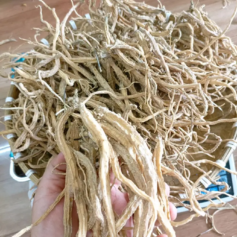 300Gram Sâm Dây Ngọc Linh Khô- Túi Zip. Nấu Nước - Pha Trà...Mùi Thơm,Vị Ngọt Nhẹ,Dễ Sử Dụng.. 5