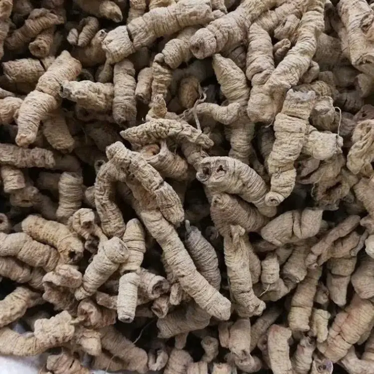 Ba Kích Tím Quảng Ninh Khô 1kg (Loại To, Đã Rút Lõi)