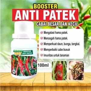 Pupuk Booster Anti Patek (100ml) I obat penyakit patek cabai I obat hama patek cabai Bunga Tanaman Cabe Daun Tembaga