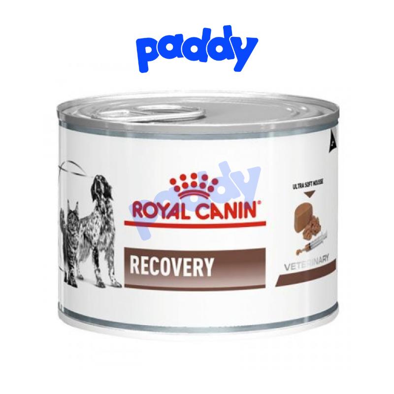 Pate Cho Chó Mèo Phục Hồi Sức Khỏe Royal Canin Recovery Lon 195g