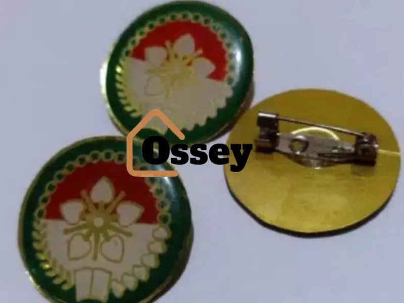 PIN DHARMA WANITA 3CM GAMBAR TIMBUL Clips Jarum
